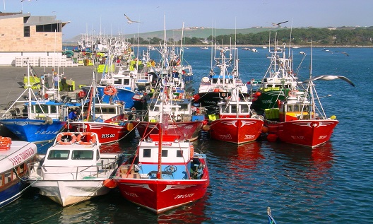 Barcos San Vicente de la Barquera
